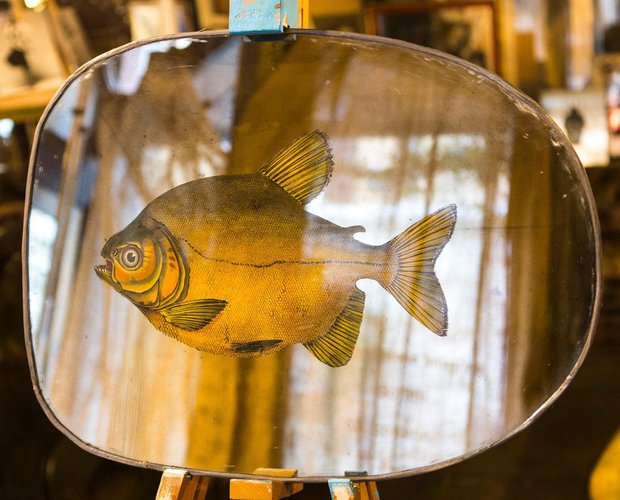 Specchio Swimming Free Fish Mirror from Unique Mirrors for sale at Pamono