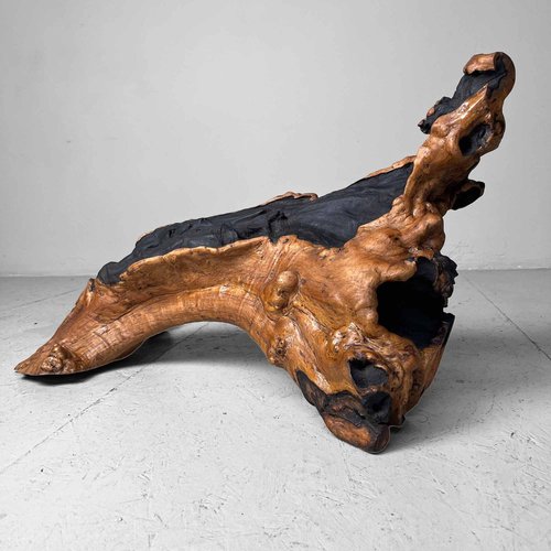 wood-burl-wood-japan-1950s.jpg