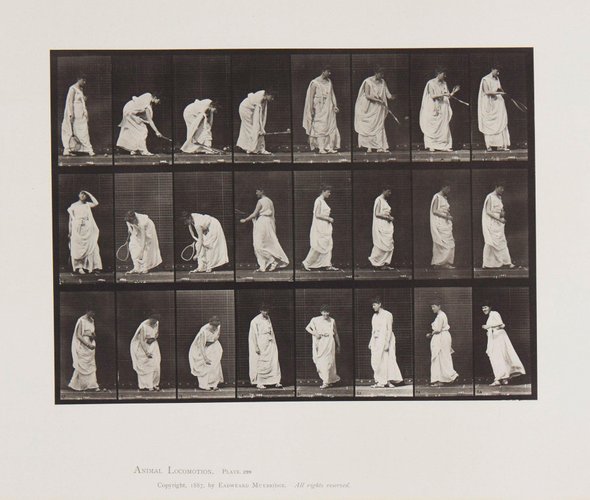 Eadweard Muybridge, Animal Locomotion: Plate 299, 1887, Collotype