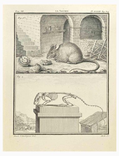 Jean Gullaume Moitte 1771 版画 アンティーク | 銅版画・エッチング