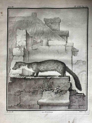 Jean Gullaume Moitte 1771 版画 アンティーク | 銅版画・エッチング