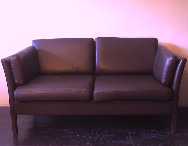 leather sofa with down cushions