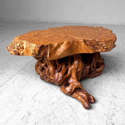 Mid-Century Yakusugi (Yakusugi) Burl Wood Plant Stand, Japan