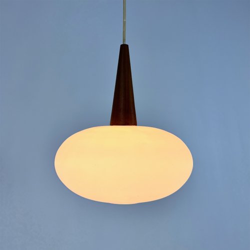 Vintage NG74 30 Pendant Lamp attributed to Louis Kalff for Philips