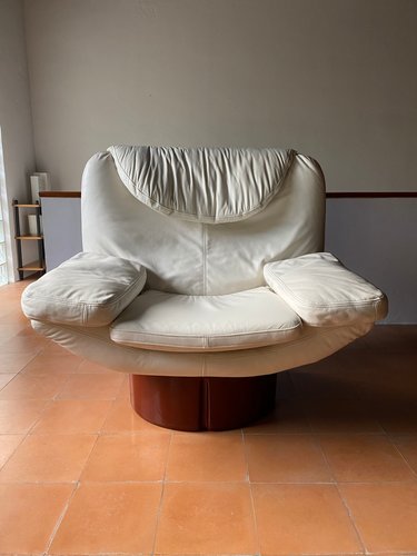 Poltrone Lounge Chair by T. Ammannati & G.P. Vitelli for Comfort, Italy