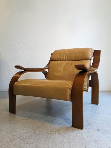Woodline Armchair by Marco Zanuso for Arflex 1960s for sale at Pamono