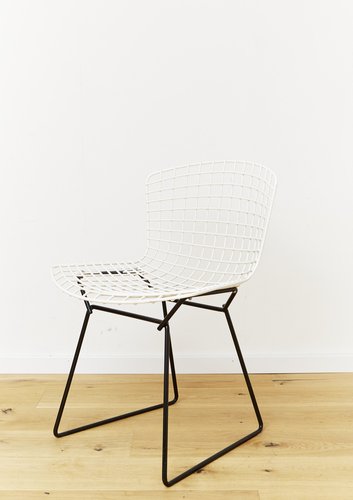 Knoll Harry Bertoia Side Chair, Outdoor