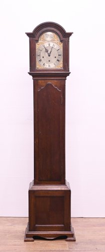 Grandfather Clock Tempus Fugit in Oak, 1920s for sale at Pamono