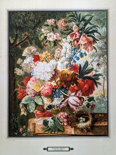 洋書 LIVING IMAGES by Polge (Signed) Joseph Nigg, Still Life with Flowers, Nest and Butterflies