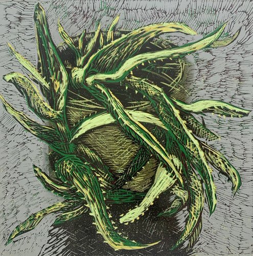 Marta Garbaczewska, Aloe, 2018, Linolschnitt bei Pamono kaufen