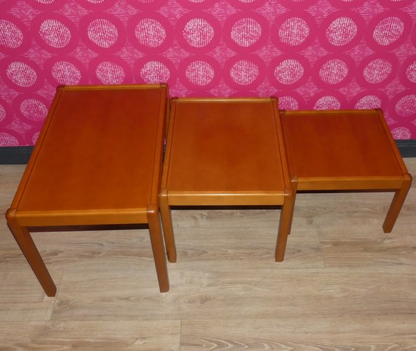 Vintage Nesting Tables, Set of 3 for sale at Pamono