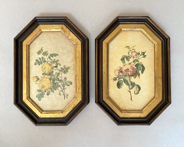 Vintage Botanical Artworks in Tabletop & Wall Mount Frames, France