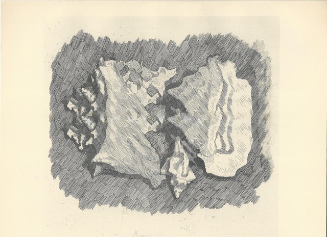 Giorgio Morandi, Still Life with Shells, 1930-1957