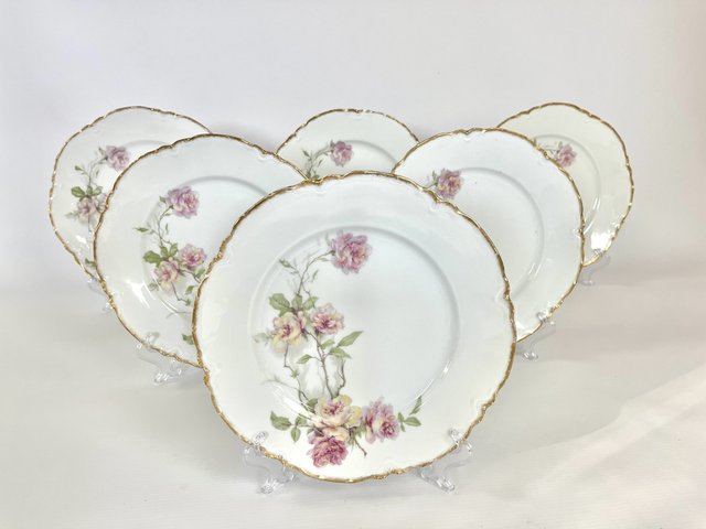 Baltimore Rose Dinner Plates from Haviland Limoges, 1888, Set of 6
