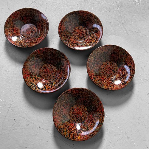 Wooden Tsugaru Lacquerware Plates, Japan, 1950s, Set of 5 for sale