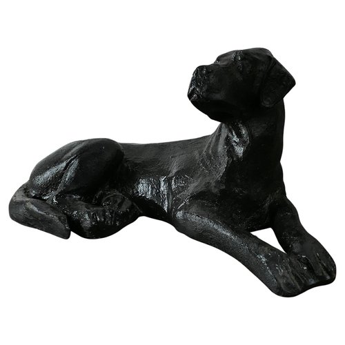 Labrador Nero | Cuccioli Labrador Neri | Allevamento San Nicolò