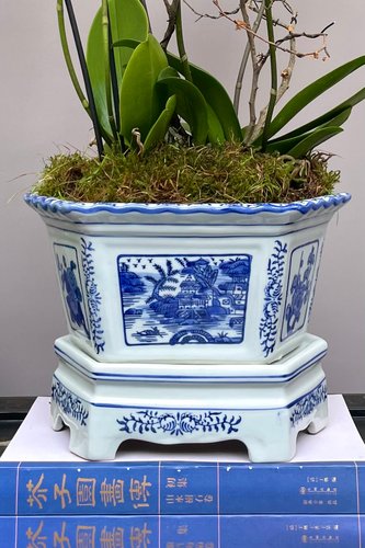 Chinese Orchid Planter with Landscape and Floral Decor, 2022 for sale at  Pamono