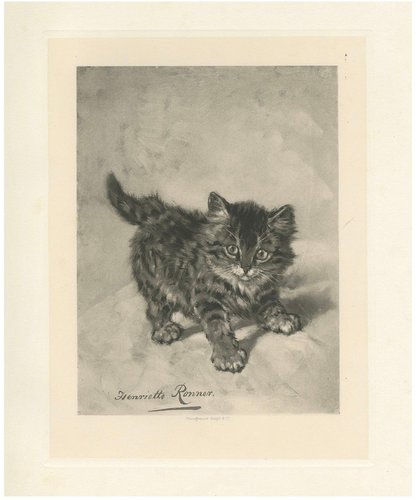 Henriette Ronner, Rascal, A Playful Cat, 1894, Print for sale at