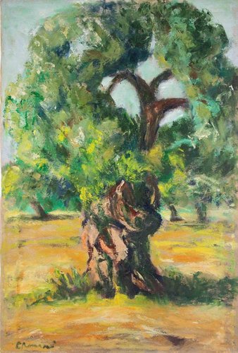 Pino Roman, Olivenbaum, lgemlde, 1990er bei Pamono kaufen