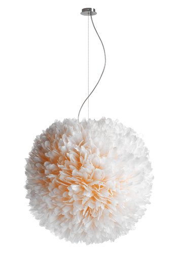Pluma light online