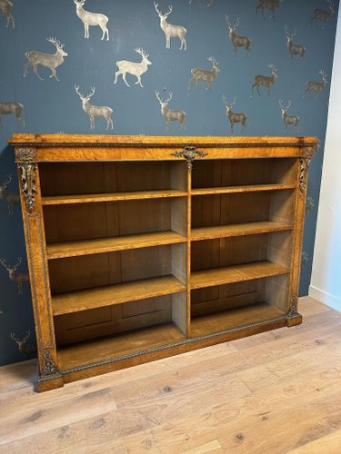 Antique Open Bookcase in Walnut for sale at Pamono