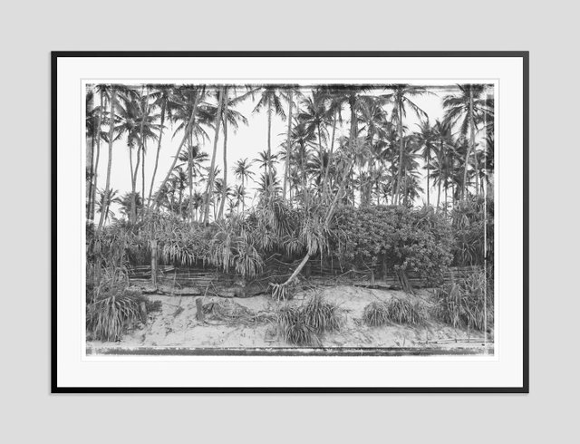 Stuart Möller, Palms Beach, 2026, Archival Pigment Print, Framed for ...