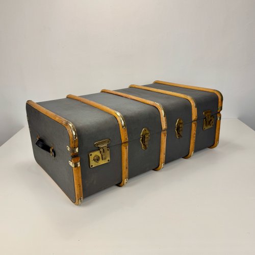 40's Vintage trunk case Brown 1930's-40's Antique ALLIGATOR Skin