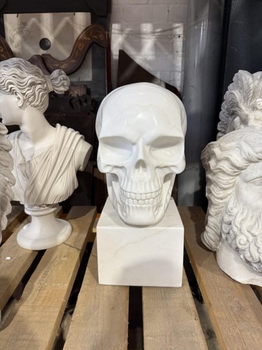 Hand-Carved Skull Sculpture on Square Plinth, White Marble for