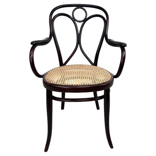 Nr.19 Angel Back Armchair in Bentwood attributed to Thonet, 1890s