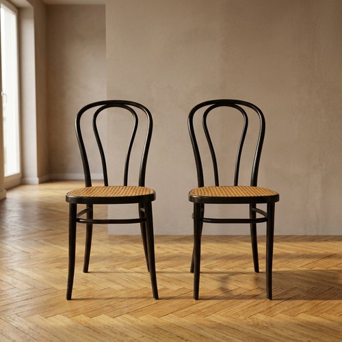 Bentwood Vienna Straw Seats, 1960s, Poland, Set of 2 for sale at