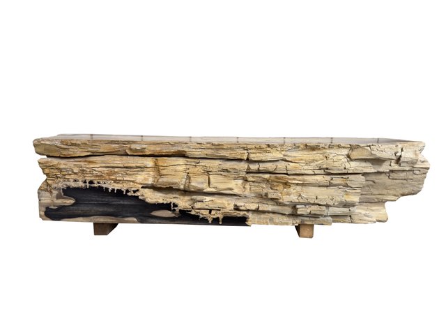 Petrified Wood Bench by Xyleia Petrified Wood for sale at Pamono