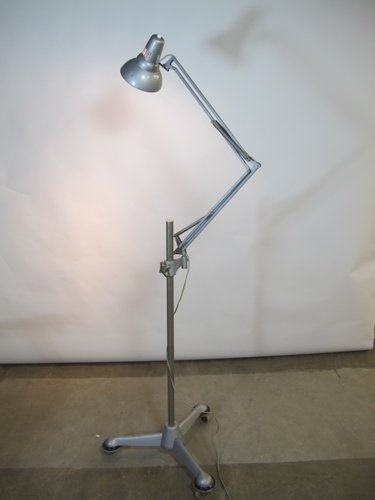 Vintage Anglepoise Floor Lamp with Wheels from ASEA, 1950s for sale at ...