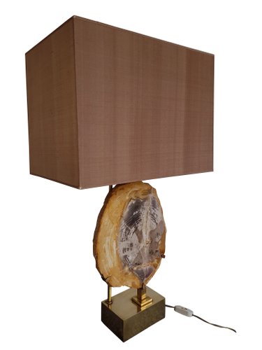 Petrified wood lamp deals