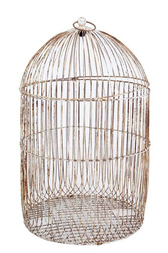 Victorian bird cage for cheap sale