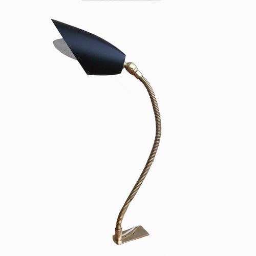 flexible clamp light