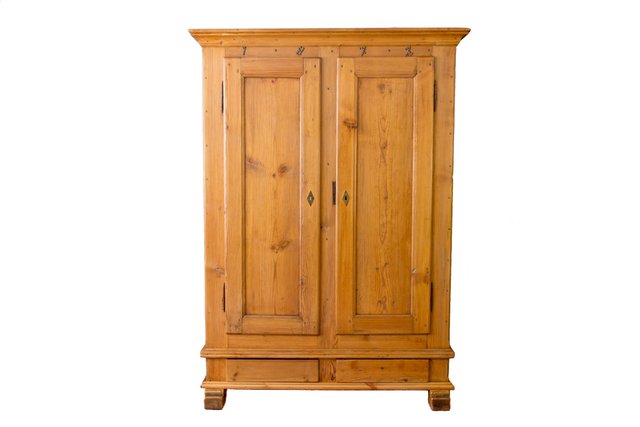 19th Century Baltic Pine Wardrobe 1873 For Sale At Pamono