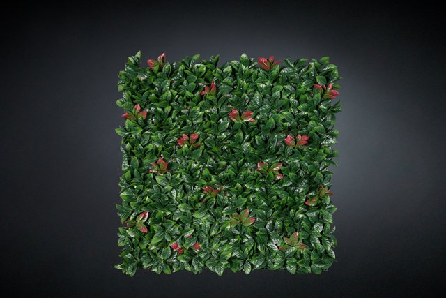 Tenax Divy 3D Panel Photinia 0,50 X 0,50 M Vert-Rouge - Haie Artificielle Murale