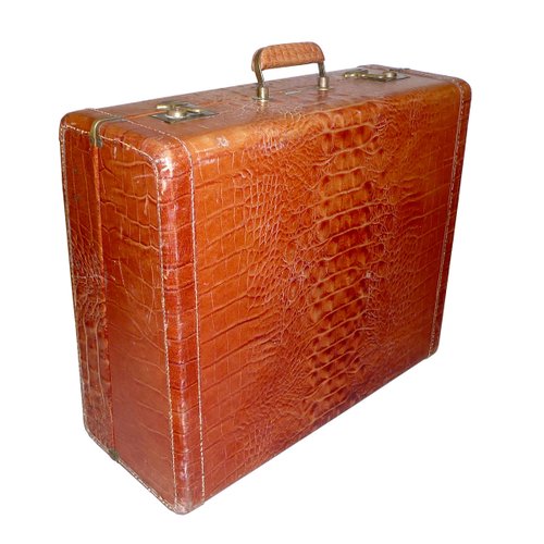 Leather Luggage from Dionite, 1950s for 