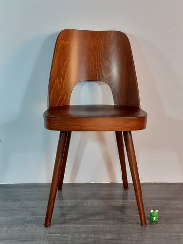 Mid Century Walnut Model 515 Dining Chairs by Oswald Haerdtl Mid Century Walnut Model 515 Dining Chairs by Oswald Haerdtl