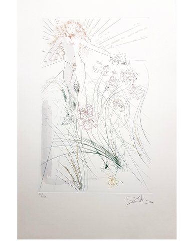 Salvador Dali The Beloved Feeds Among The Lilies Signed Aquatint 1971 For Sale At Pamono