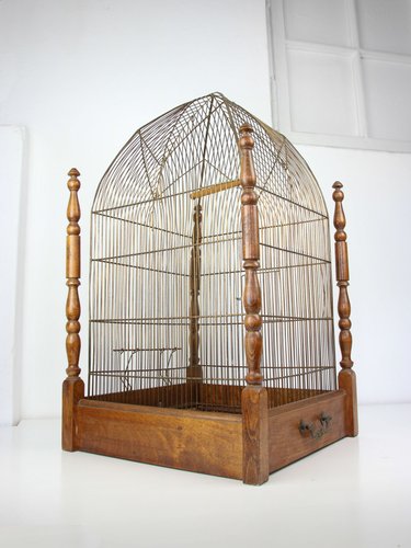 brass bird cage