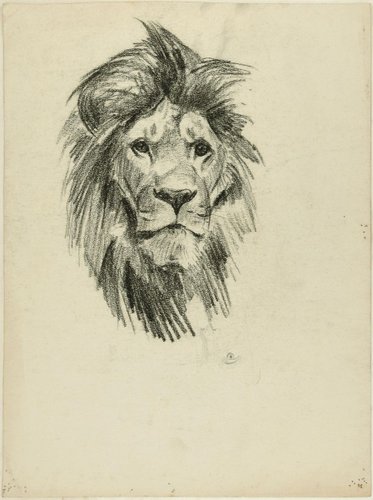 Head of Lion and Tiger - Original Pencil Drawing by Willy Lorenz