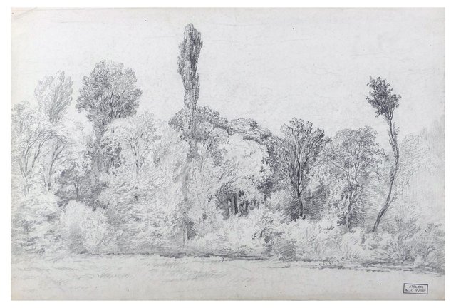 Landscape Pencil Sketch