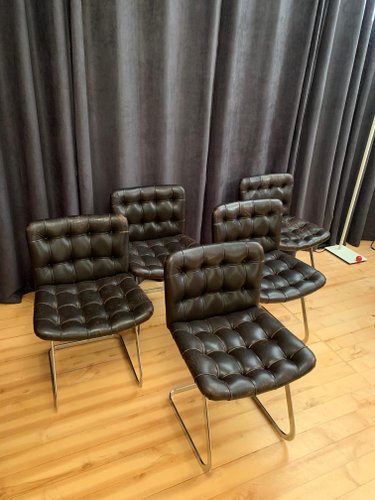 Rh 304 Unesco Desk Chairs By Robert Haussmann For De Sede 1950s Set Of 5 For Sale At Pamono