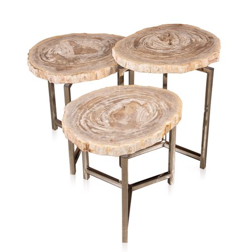Petrified Wood Fossil Nesting Tables On, Petrified Wood Sofa Table