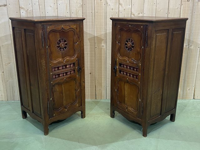 Armarios de roble y madera de cerezo, años 50. Juego de 2 en venta en