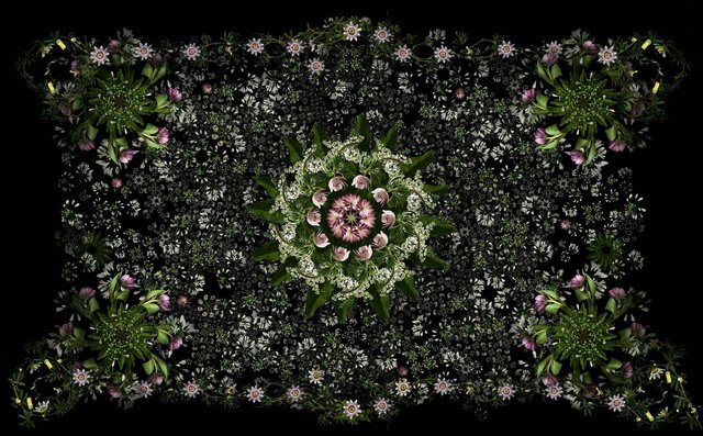 Floriculture 2, Lisa Creagh, Digital, Blumen, Muster, Gärten