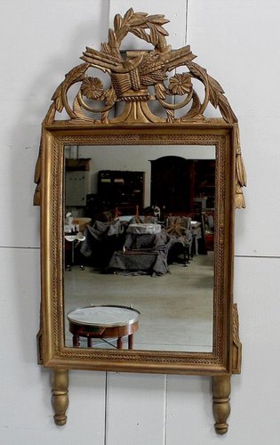 Miroir Louis XVI Doré Décor Floral Sculpté - XIXe Siècle