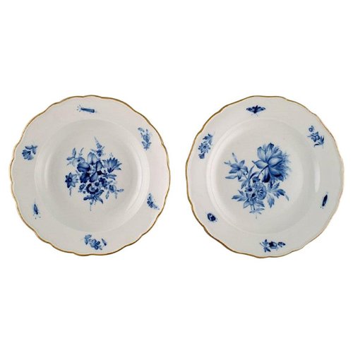 Antique Meissen Porcelain Plates with Hand-Painted Flowers and Gold Edge,  Set of 2
