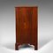 Antique English Mahogany Gentleman's Chest of Drawers, 1800s 5